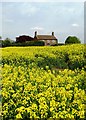 Conduit House Farm