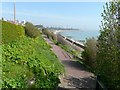 Looking northeast along a path above Dovercourt Bay