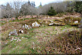 Bronze Age stone hut circle, Fernworthy Reservoir