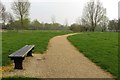 Bench by the path