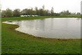 A pond in Ouzel Valley Park