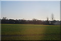 Farmland near Slaney Place