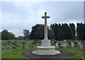 Lady St. Mary Church, Wareham: churchyard (l)