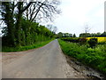 Looking south on Back Lane towards The Avenue