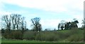 Copse off the A1 in Moneymore TD