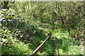 Footpath crossing the old railway track