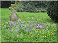 Old grave with bluebells, Malton Cemetery