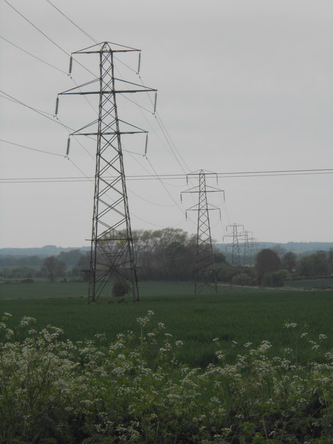 Pylons crossing farmland, near Shottenden