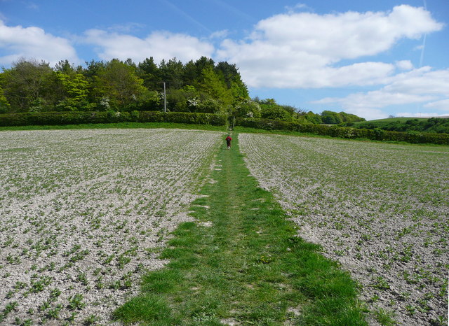 The Chiltern Way crossing a field