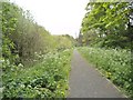 Railway Footpath