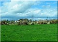 View across the Cascum Road roundabout