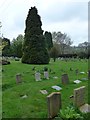 St Mary, Lychett Matravers: churchyard (d)