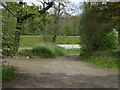 Footpath from Ripley Road