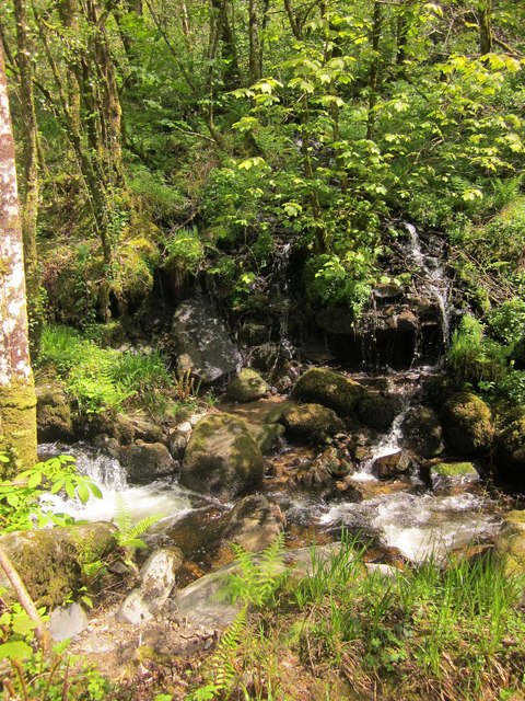 Waterfall, Grey Park Wood