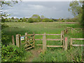 Parsonage Meadow