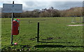 No dogs on playing fields notice, Cwmbach