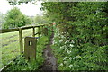 Path leading to New Lane Cockerdale