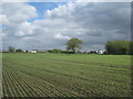 View towards Mains Lane from the footpath to Everingham