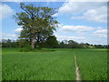 Footpath to Bough Beech Sailing Club