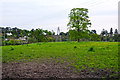 Malvern Hills District : Grassy Field