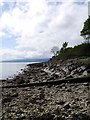 Kilcreggan Shoreline