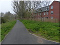 Riverside Way at the Abbey Meadows