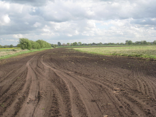 Ploughed path