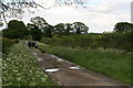 Family walk in Clay Lane on a stormy Sunday afternoon