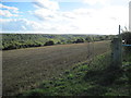 Over  field  to  Easington  Woods