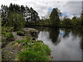 The Water of Minnoch near Brigton