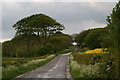 Gentle, scenic climb up Dog Hill on the Bluestone Heath Road