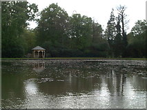SU9771 : Cow Pond, Windsor Great Park by Peter S