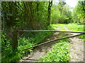 Bridleway to Theddon