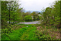 Malvern Hills District : Grassy Path