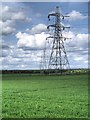 Pylons Across Chat Moss