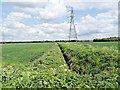 Drainage Ditch, Chat Moss