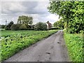 Track Towards Birch Farm