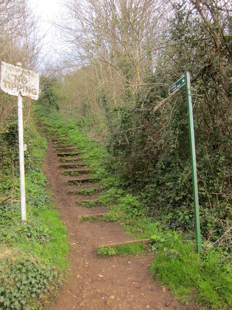 Severn Way entering Penpole Wood