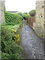 Footpath - Ash Hill Gardens