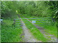 South East Water track near the A339