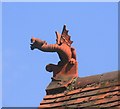 SU8683 : Dragon on the Roof by Des Blenkinsopp