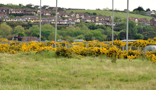 The Castlebawn site, Newtownards - May 2014(2)