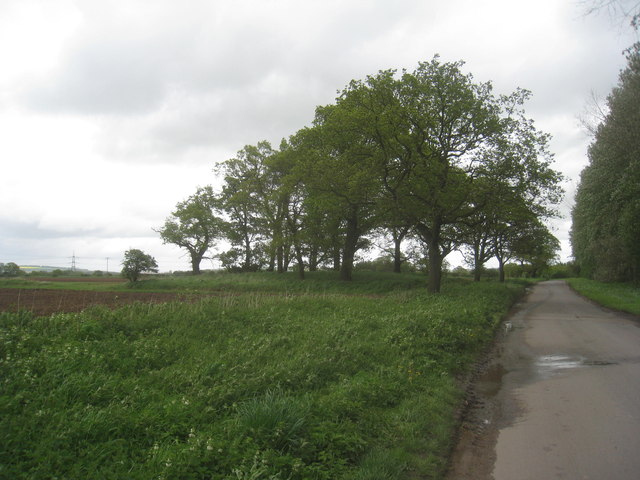 Mound with trees