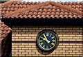 Veterinary clock, Newtownards