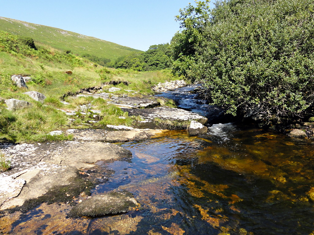 The River Erme by Piles Copse © Tony Atkin :: Geograph Britain and Ireland
