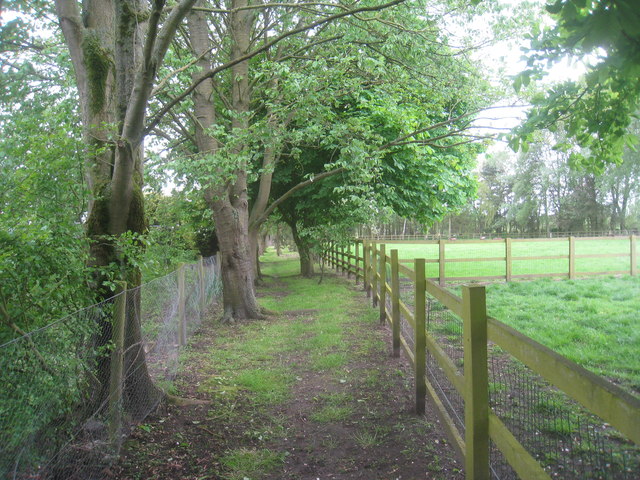 Footpath to Seaton Ross (2)