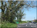 SU8509 : Bus stop and shelter on north of Mid Lavant by David Smith