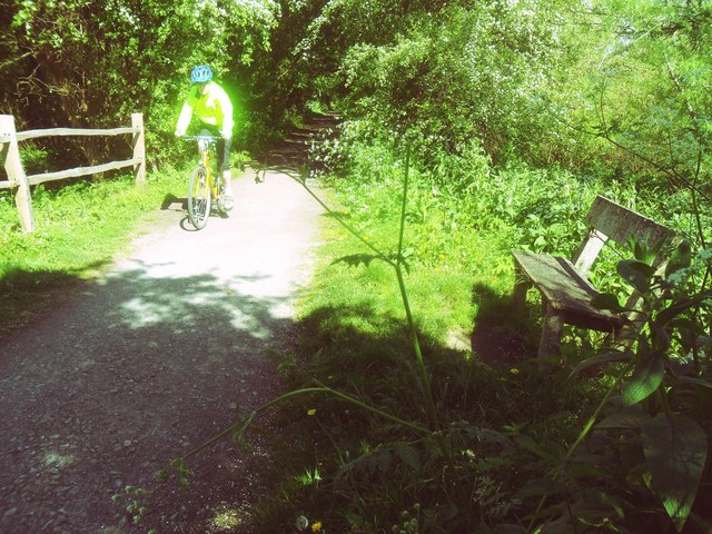 Cyclist Approaching Colin Wilford's Oak Bench On Forest Way