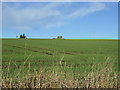 Crop field north of the A947