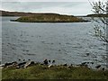 NR3868 : Finlaggan - Council Isle (Eilean na Comhairle) by Rob Farrow